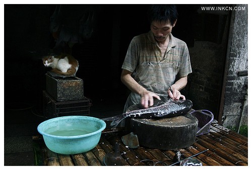 用相机见证我们的时代 街头摄影经验谈 